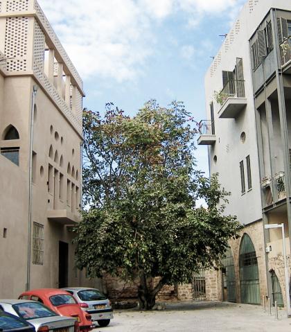 קיסלוב קיי אדריכלים, רחוב רבי חנינא יפו